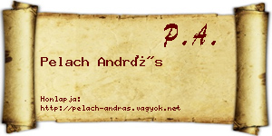 Pelach András névjegykártya